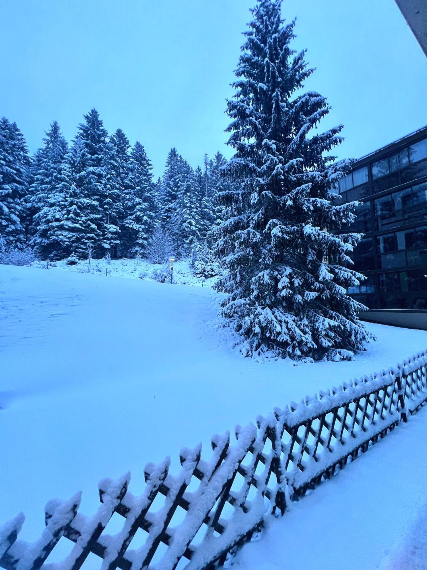 Ma Montagne Chic 4 Apartment La Bresse Exterior photo